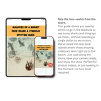 دليل مشاهدة أسماك القرش والراي اللساع في جزر المالديف 