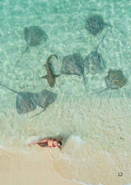 Woman lying on Maldives beach next to stingrays and a nurse shark in shallow clear water